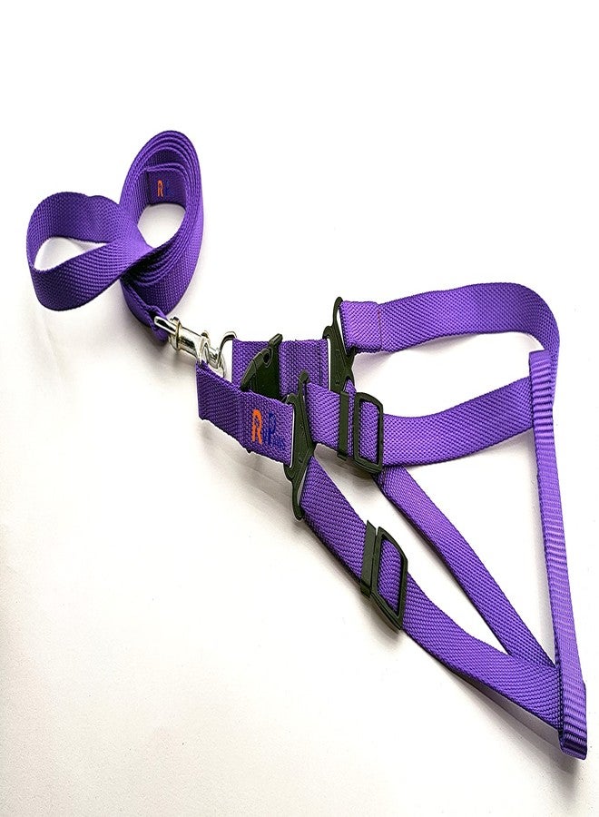 Pups&Pets 15 MM Nylon Leash with Harness 0.5 Inch Adjustable Nylon Harness Set Ideal for Small Breed Dog & Puppies - Purple - Image 2